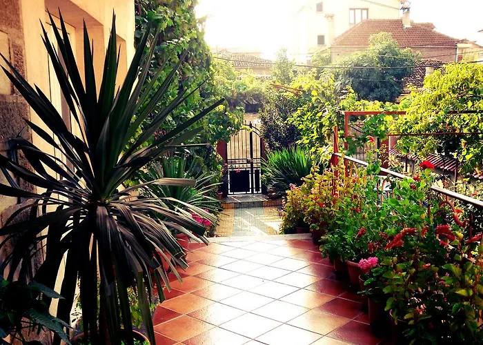 Diana Guesthouse