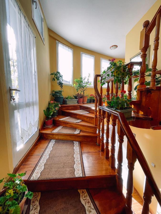 Bed & Breakfast Diana 2*