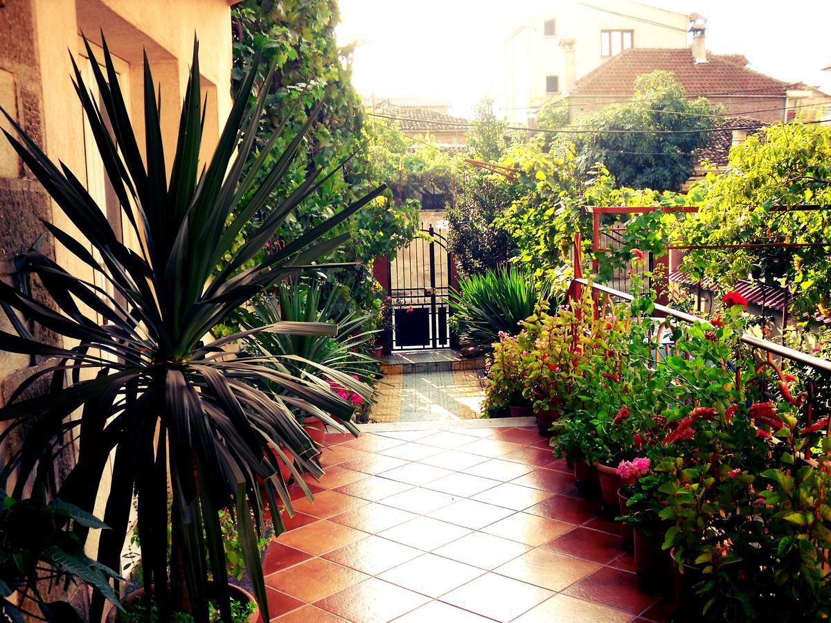 Bed & Breakfast Diana Korce